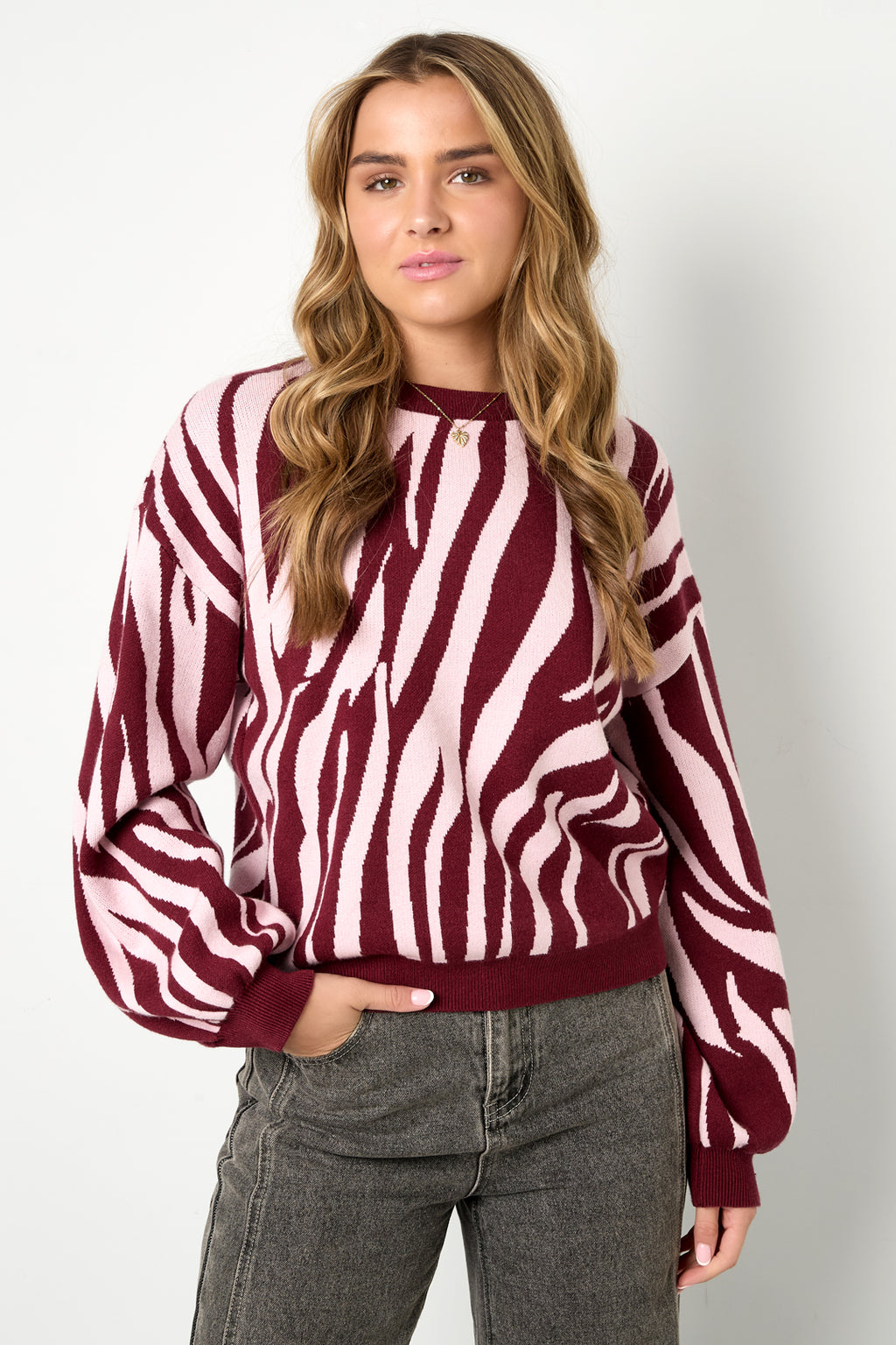Knitted sweaters Zebra