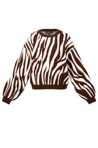 Knitted sweaters Zebra