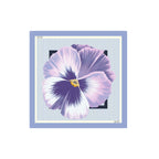 Liu Jo Mujer Bufandas