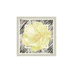 Liu Jo Mujer Bufandas